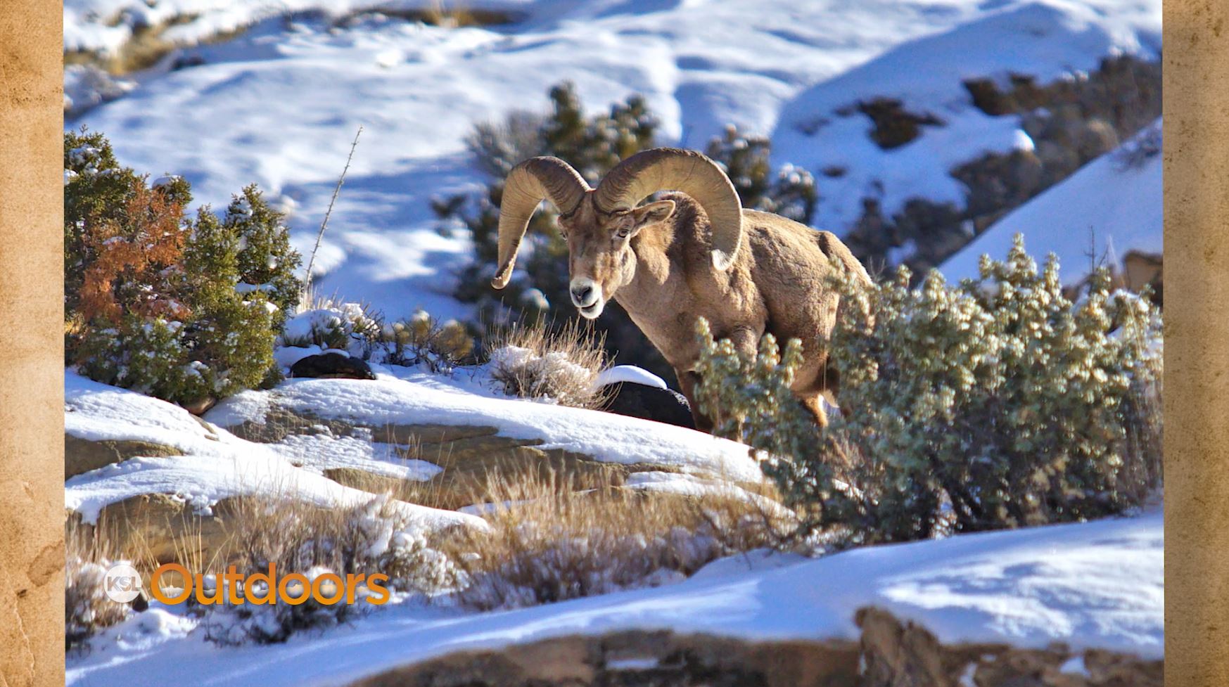 Snapshot of the Week: February 20, 2021