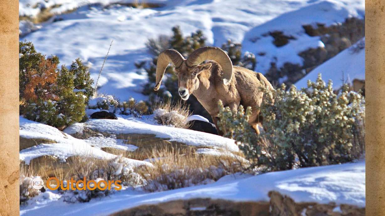 Snapshot of the Week: February 20, 2021