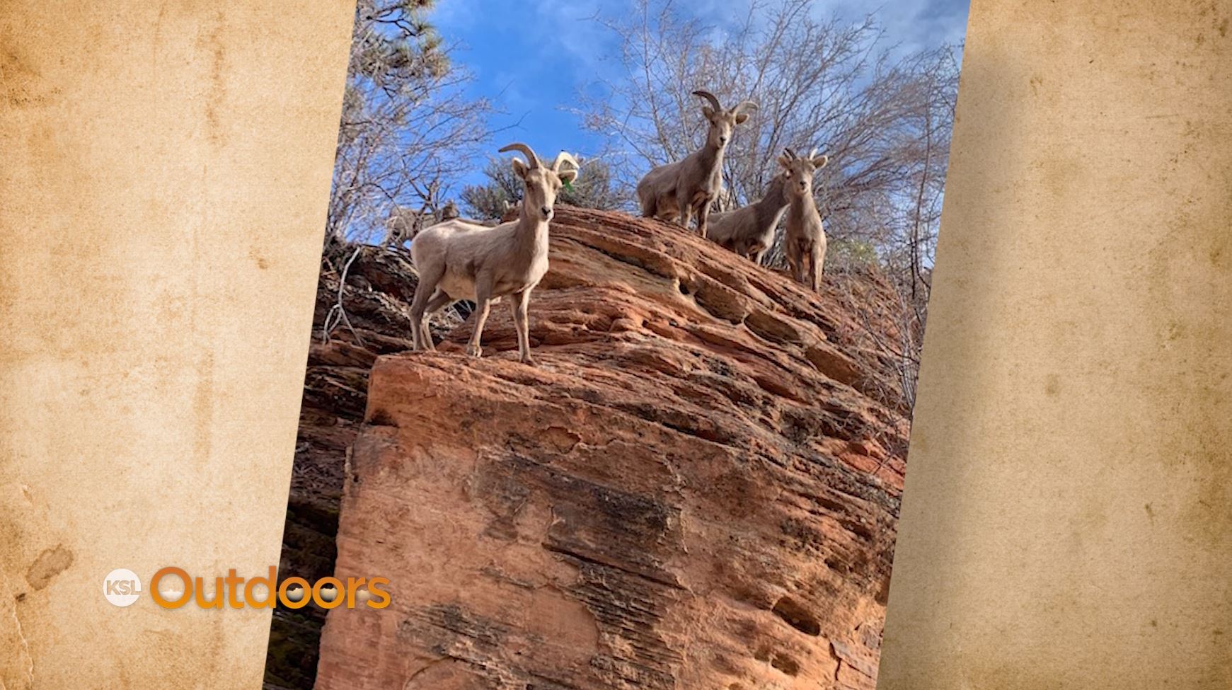 Snapshot of the Week: March 6, 2021