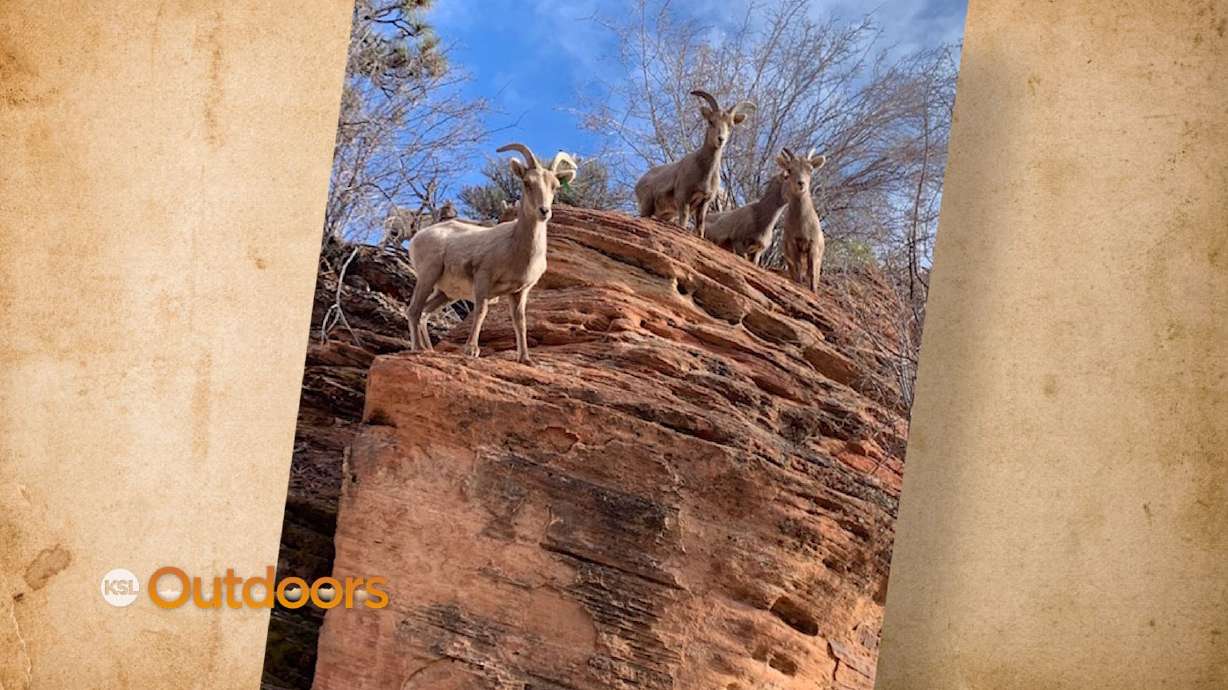 Snapshot of the Week: March 6, 2021