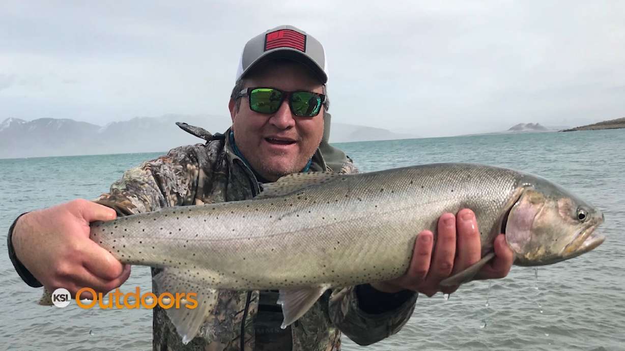 How Utah saved Lahontan Cutthroat Trout from Extinction