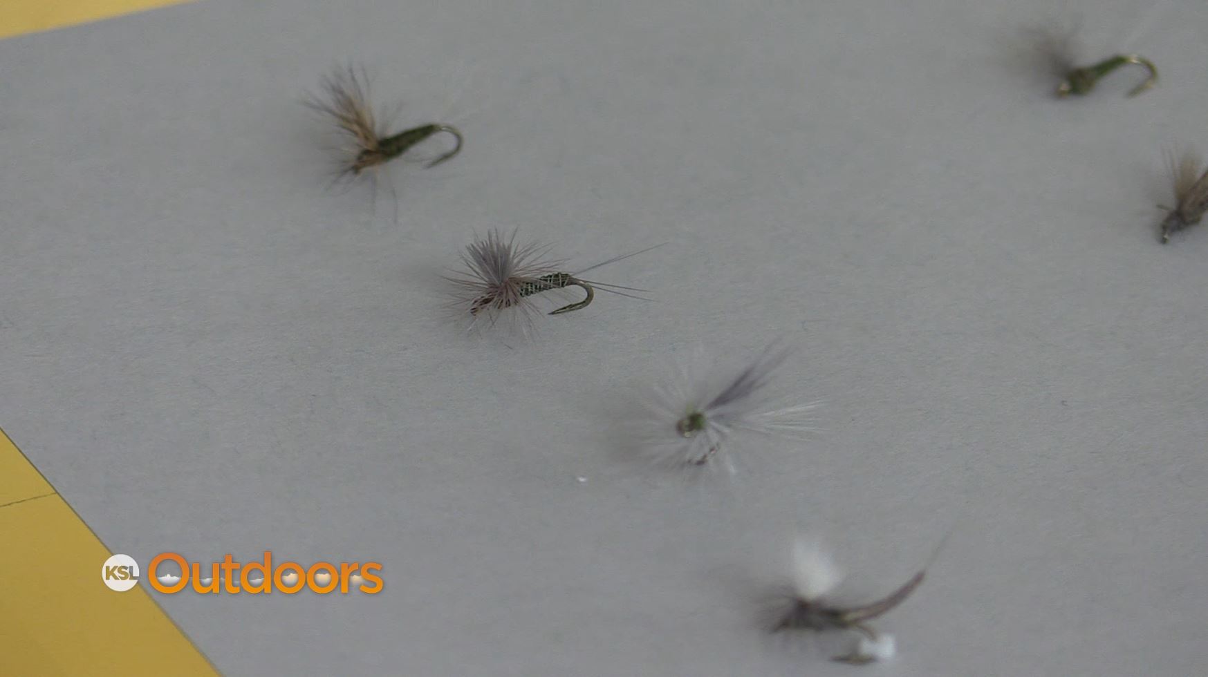 Fish Tech Fishing Tip: Spring is Blue Wing Olive Time