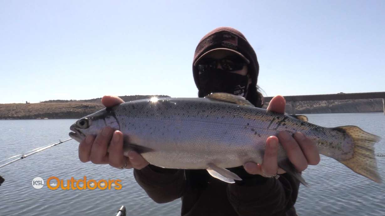 Fishing for Big Rainbow Trout at Starvation Reservoir