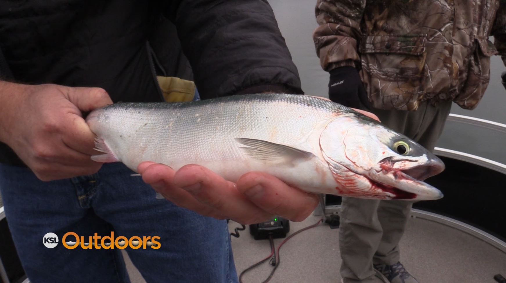 Spring Kokanee Fishing at Flaming Gorge