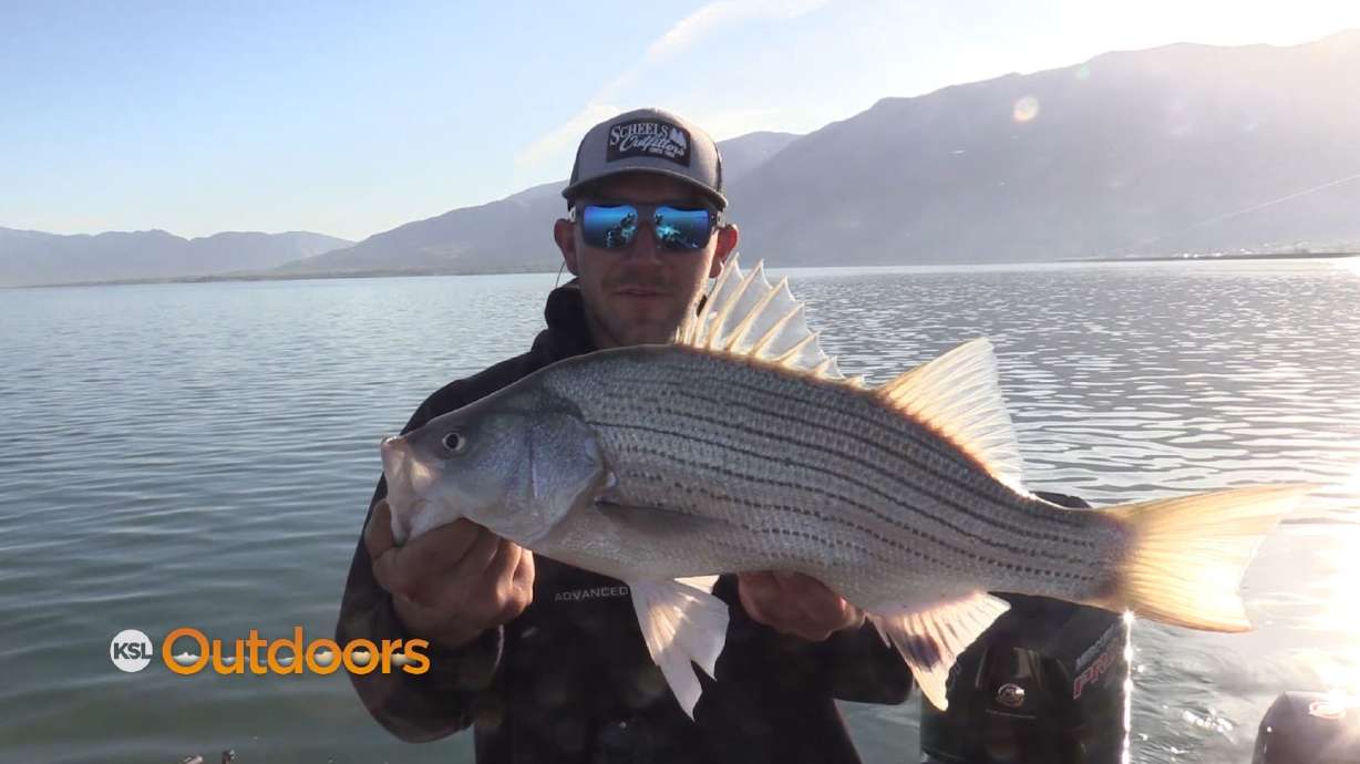 Fishing Willard Bay with Walleye Pursuit Guide, Jake Hammer