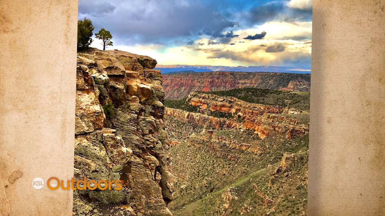 Snapshot of the Week: June 12, 2021