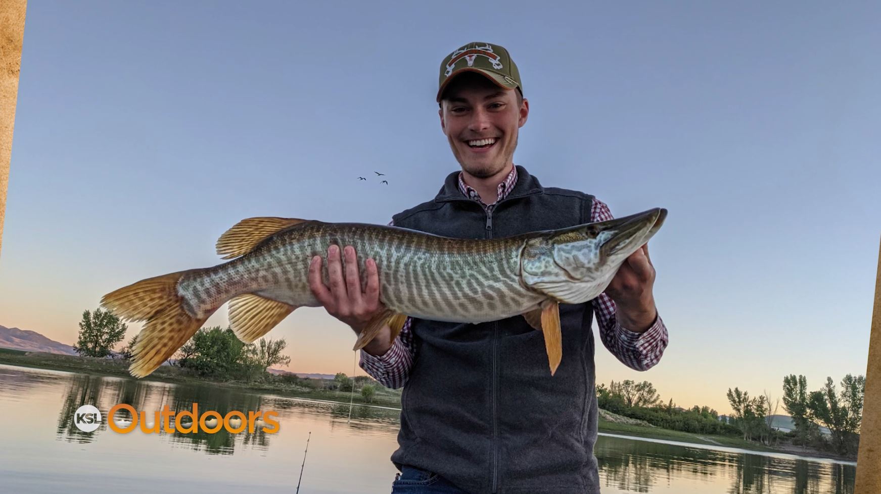 Snapshot of the Week: June 19, 2021