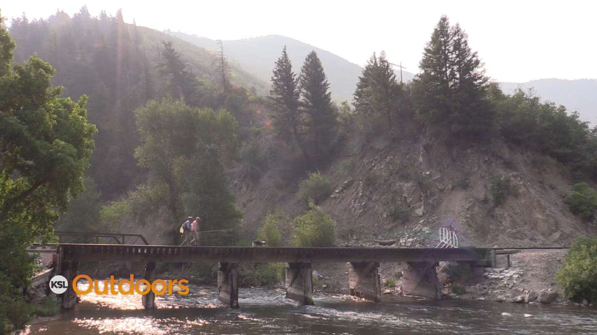 Fly Fishing the Lower Provo with Brian Wimmer