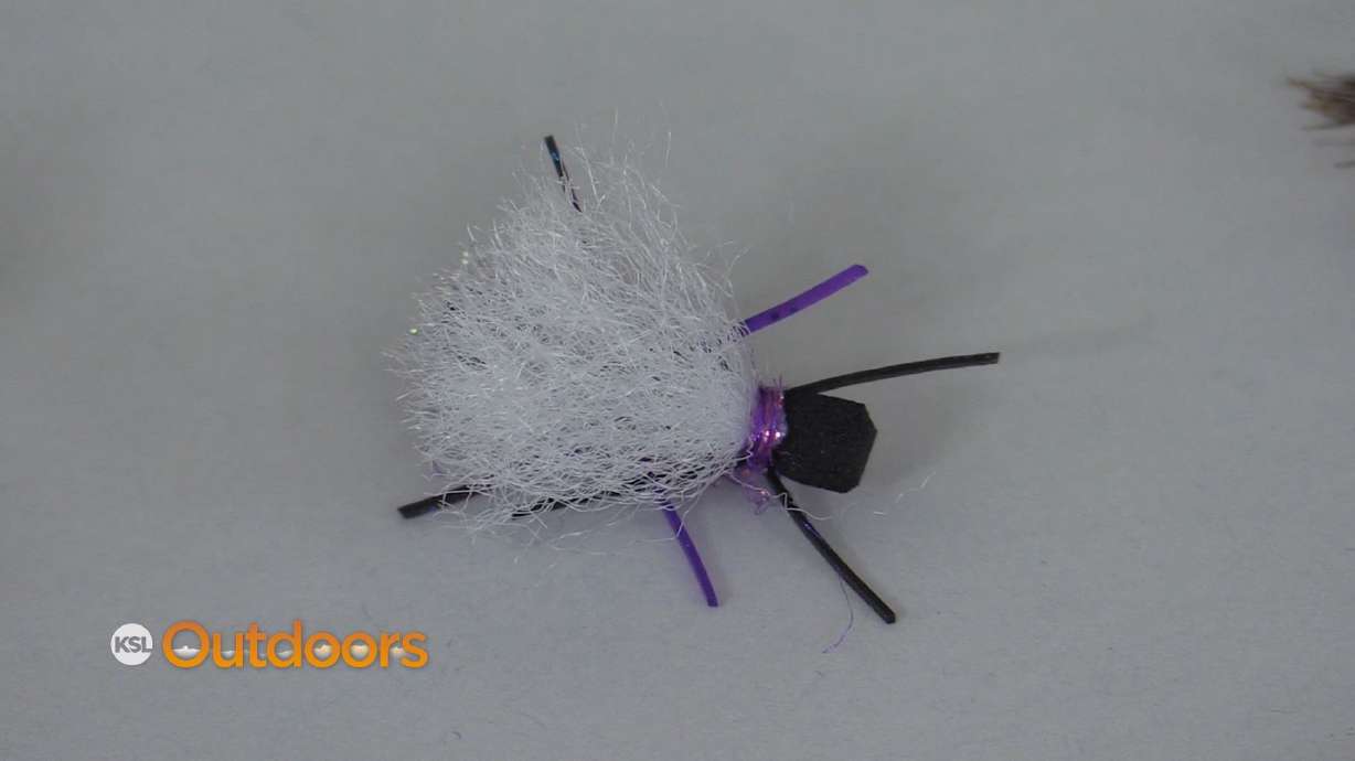 Lures, Flies, and Lines for Fall Fishing