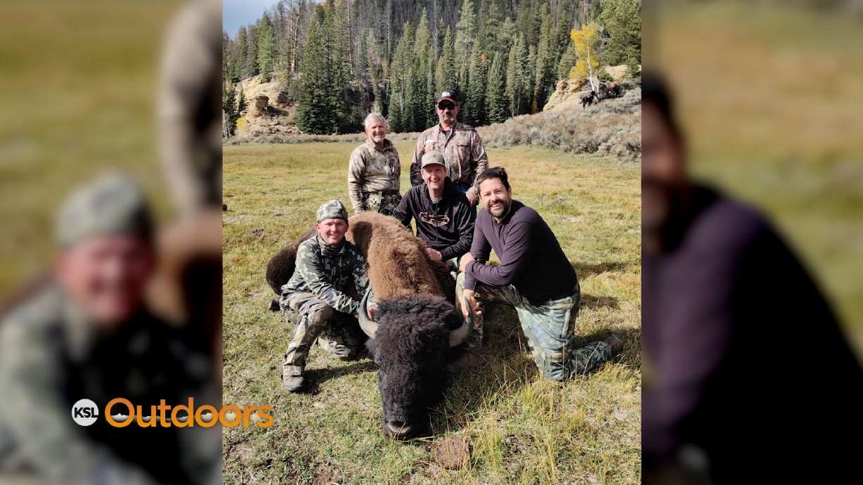 A Book Cliffs Bison Hunt 25-Years in the Making