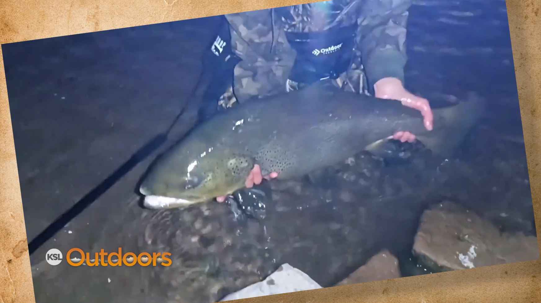 Snapshot of the Week: November 27, 2021