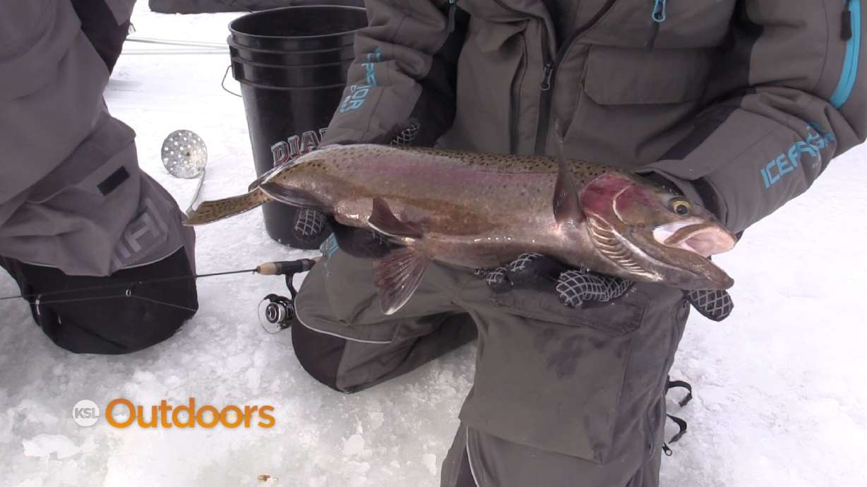 Ice Fishing for Big Rainbows at Calder Reservoir