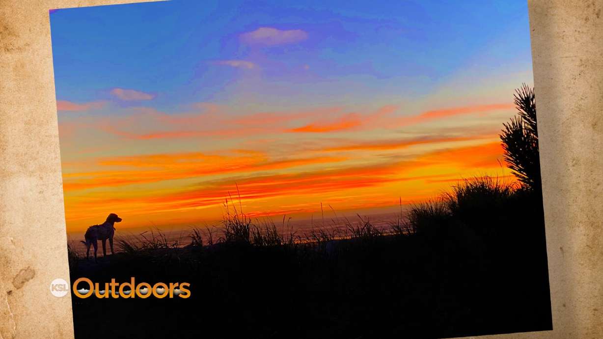 Snapshot of the Week: January 15, 2022