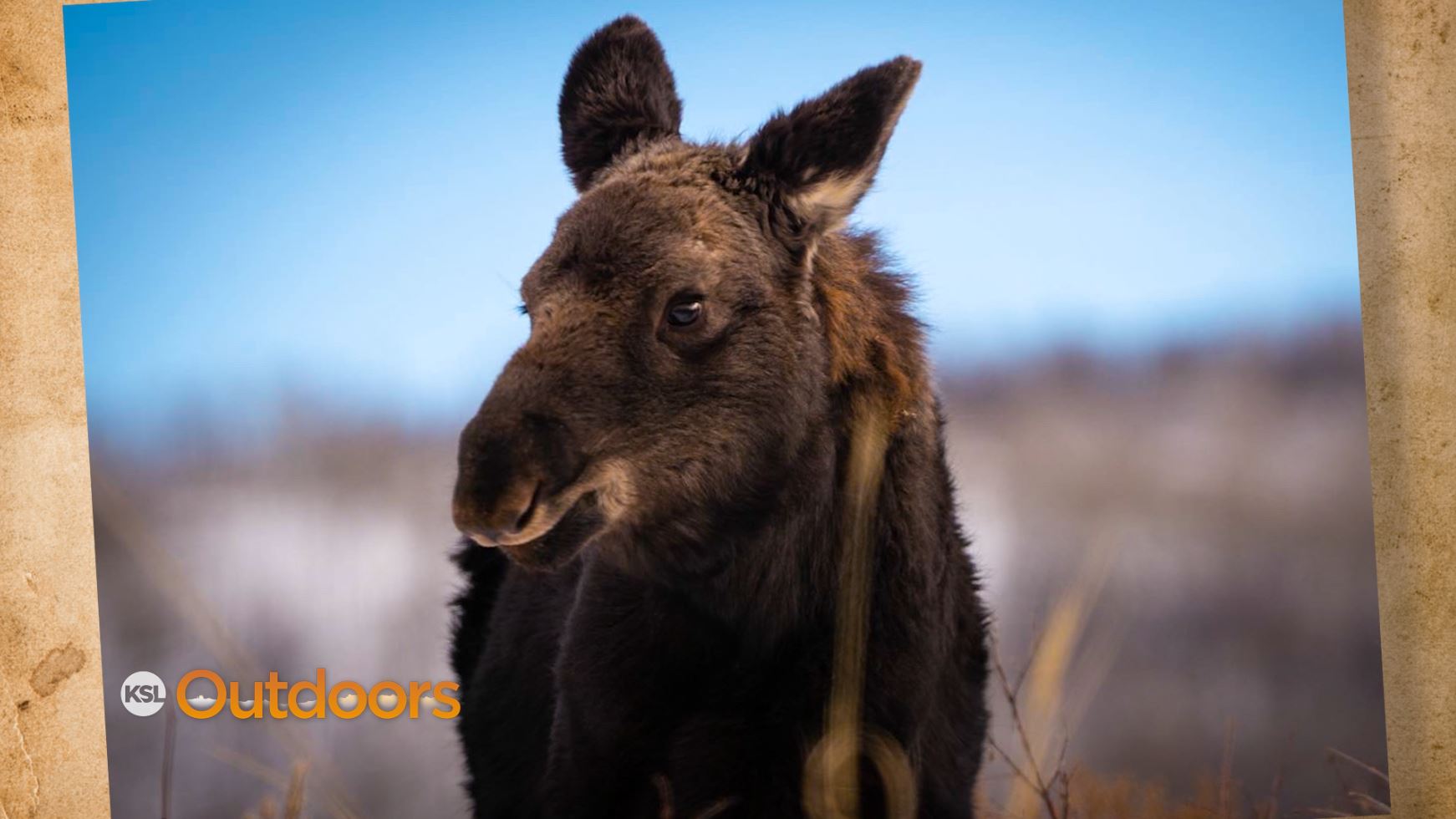 Snapshot of the Week: January 22, 2022