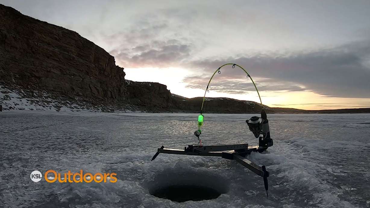 Catching Lakers and Tagging Burbot for 2022 Burbot Bash at Flaming Gorge