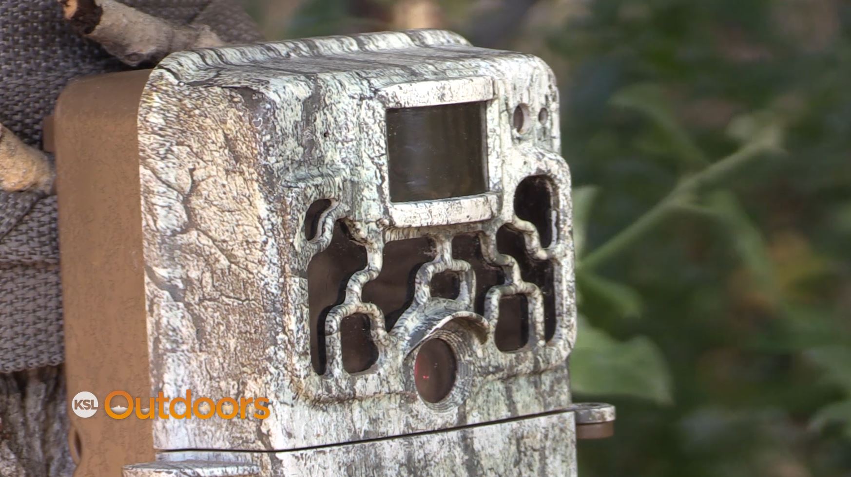 Utah Wildlife Board Upholds Trail Cam Ban