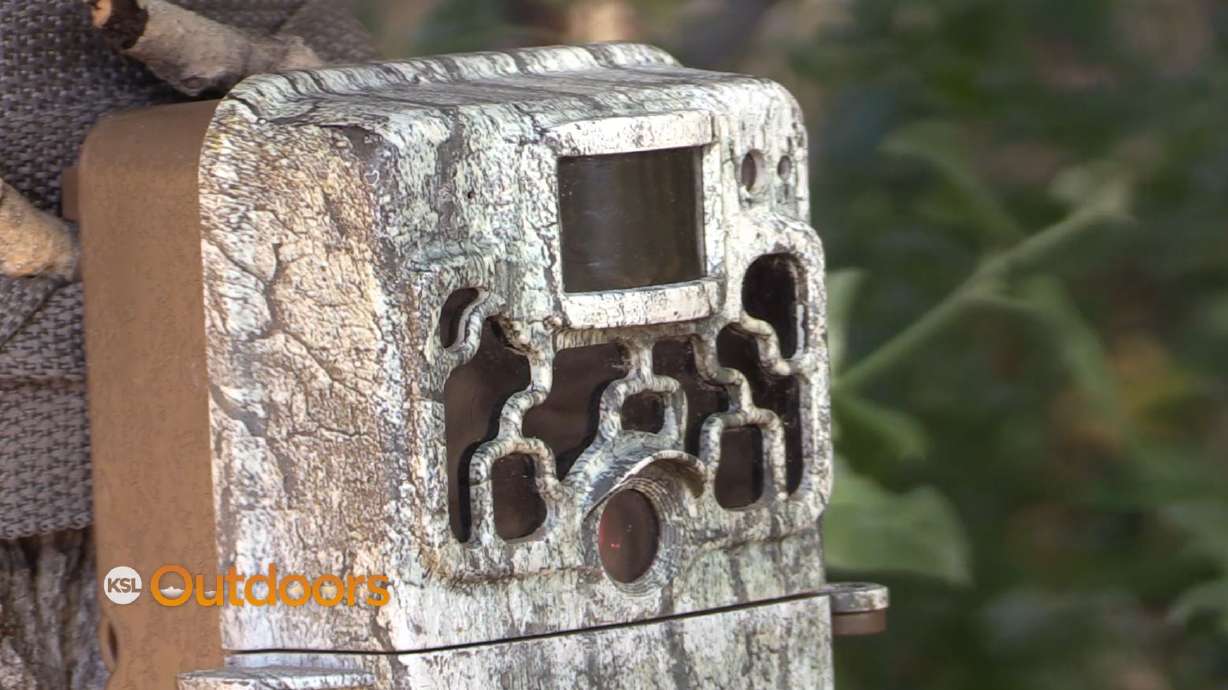 Utah Wildlife Board Upholds Trail Cam Ban