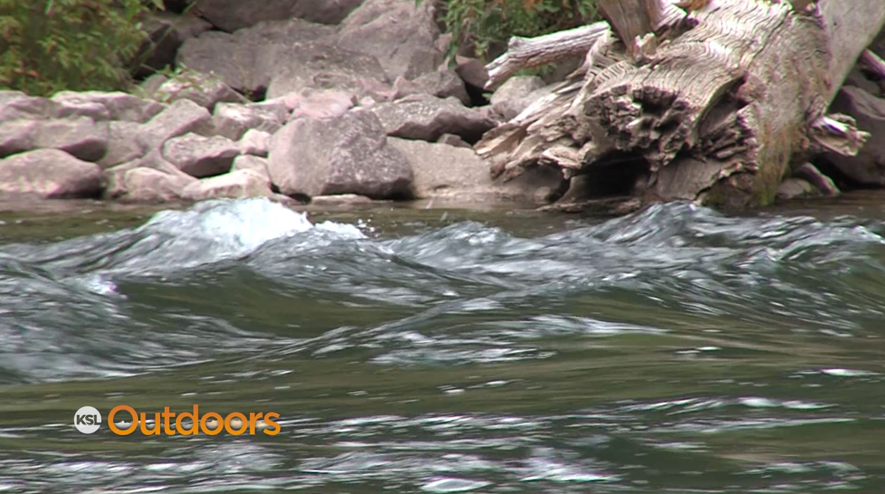 Fish Tech Tip: How to Fish Spring Reservoir Releases