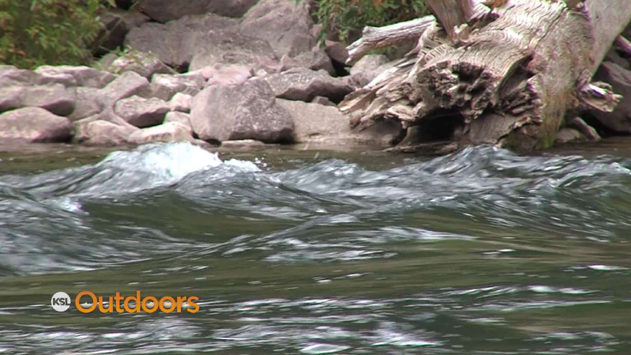 Fish Tech Tip: How to Fish Spring Reservoir Releases