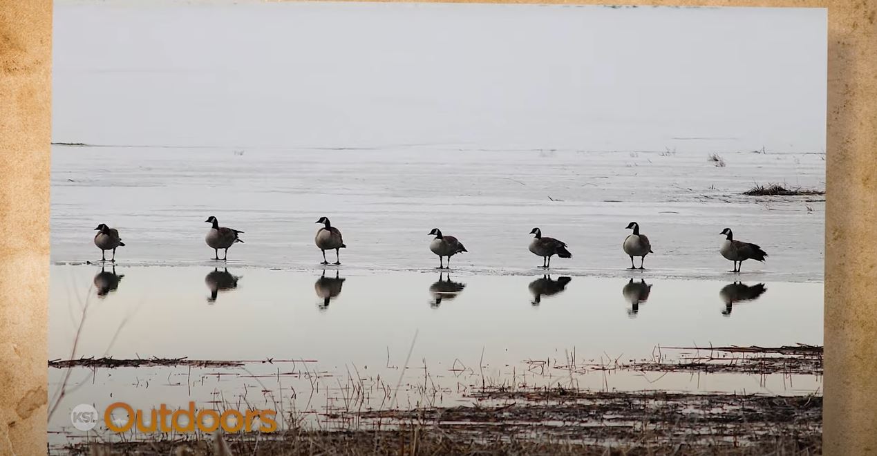 Snapshot of the Week: April 30, 2022