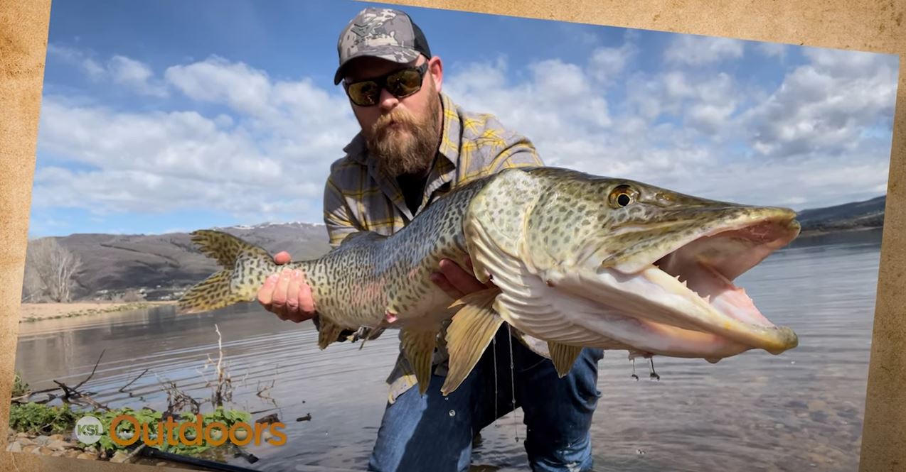 Snapshot of the Week: May 28, 2022
