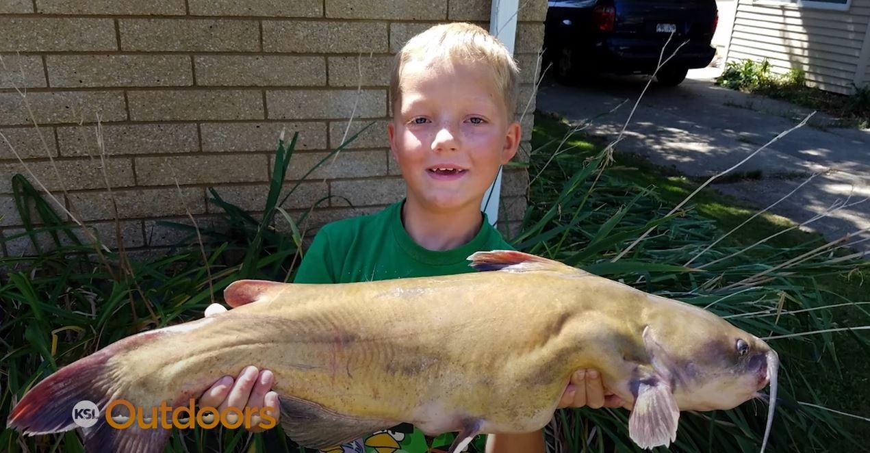Fish Tech Tip: How to Catch Summertime Catfish