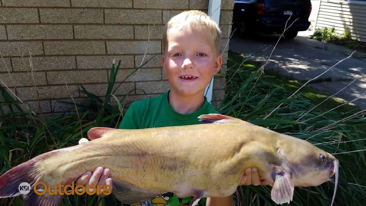 Fish Tech Tip: How to Catch Summertime Catfish