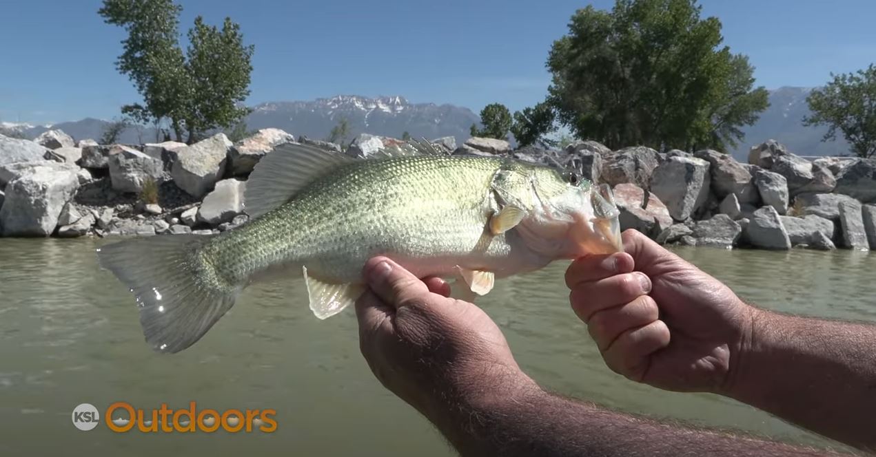 Utah Lake Fishing for Bass and Catfish
