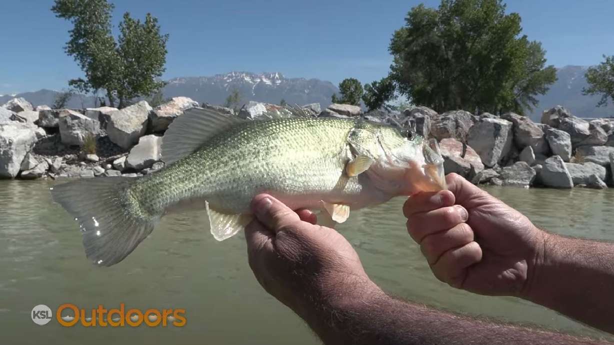 Utah Lake Fishing for Bass and Catfish