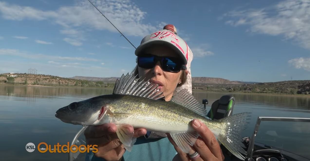 Starvation Reservoir Needs Angler Help to Catch and Keep Small Walleye