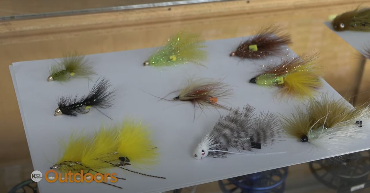 Fish Tech Tip: Tired of Chucking Nymphs and Dries? Time to Chuck Some Streamers