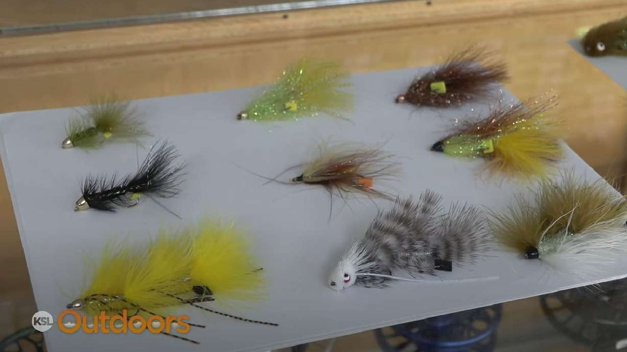 Fish Tech Tip: Tired of Chucking Nymphs and Dries? Time to Chuck Some Streamers