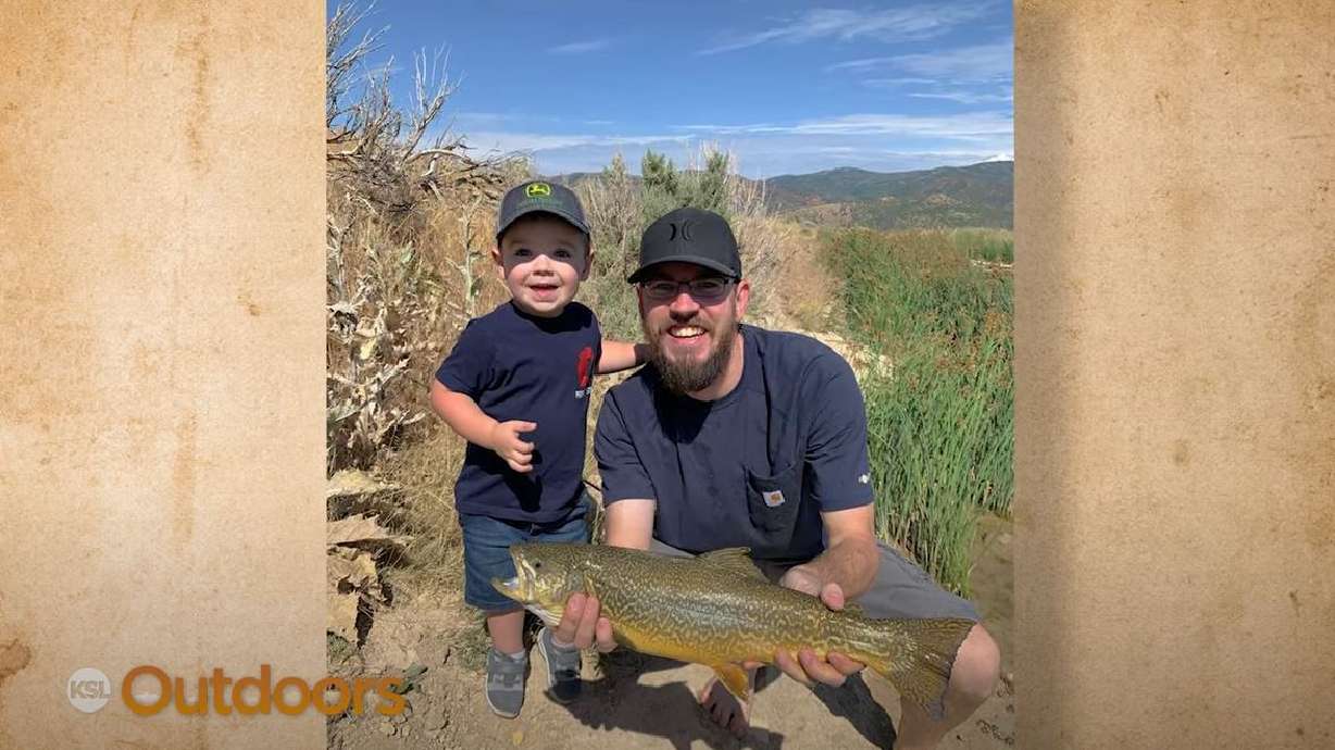 Snapshot of the Week: August 13, 2022