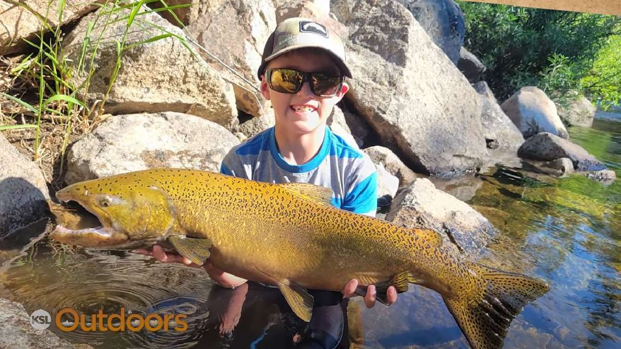 Snapshot of the Week: August 20, 2022
