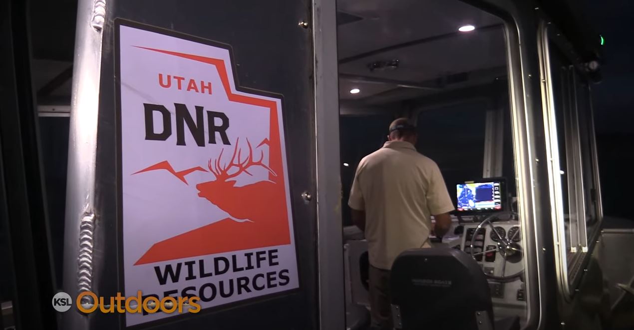 Utah DWR Nets Kokanee at Flaming Gorge for Population Survey