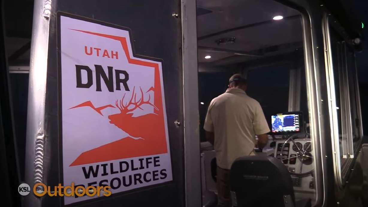 Utah DWR Nets Kokanee at Flaming Gorge for Population Survey