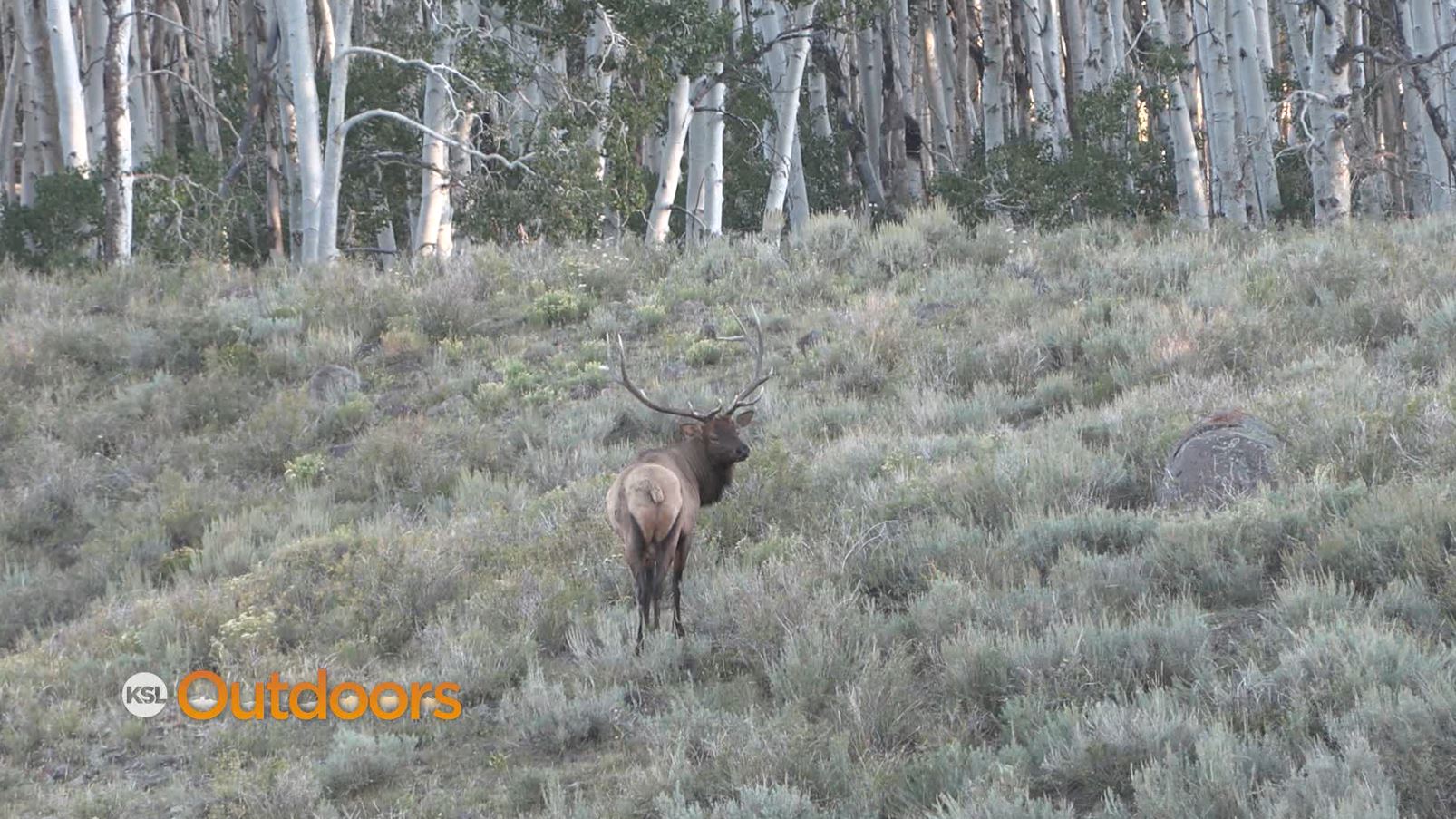 Army/Navy Veteran, Howard Wade's "Last Hurrah" Elk Hunt