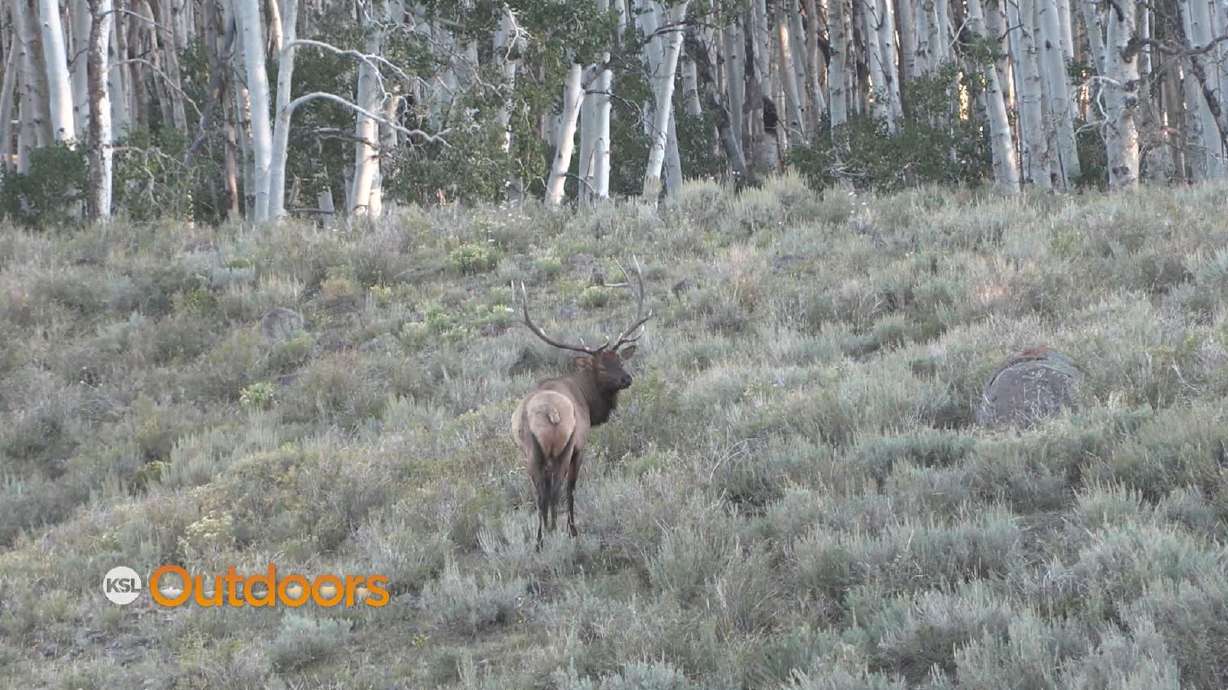 Army/Navy Veteran, Howard Wade's "Last Hurrah" Elk Hunt