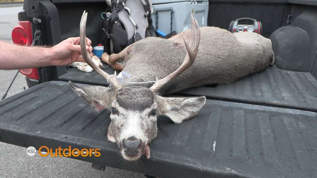 Wrap Up of Utah's 2022 General Season Deer Hunt