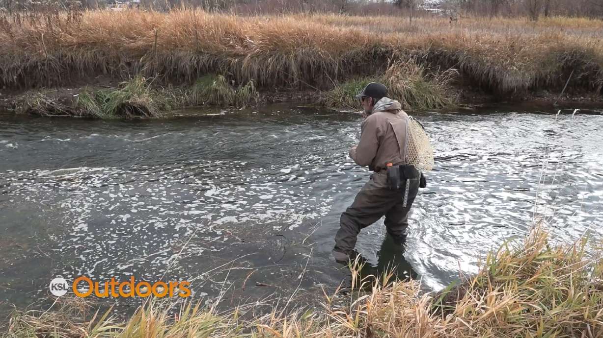 Fish Tech Tip: Cast Accuracy and Finding the Correct Drift