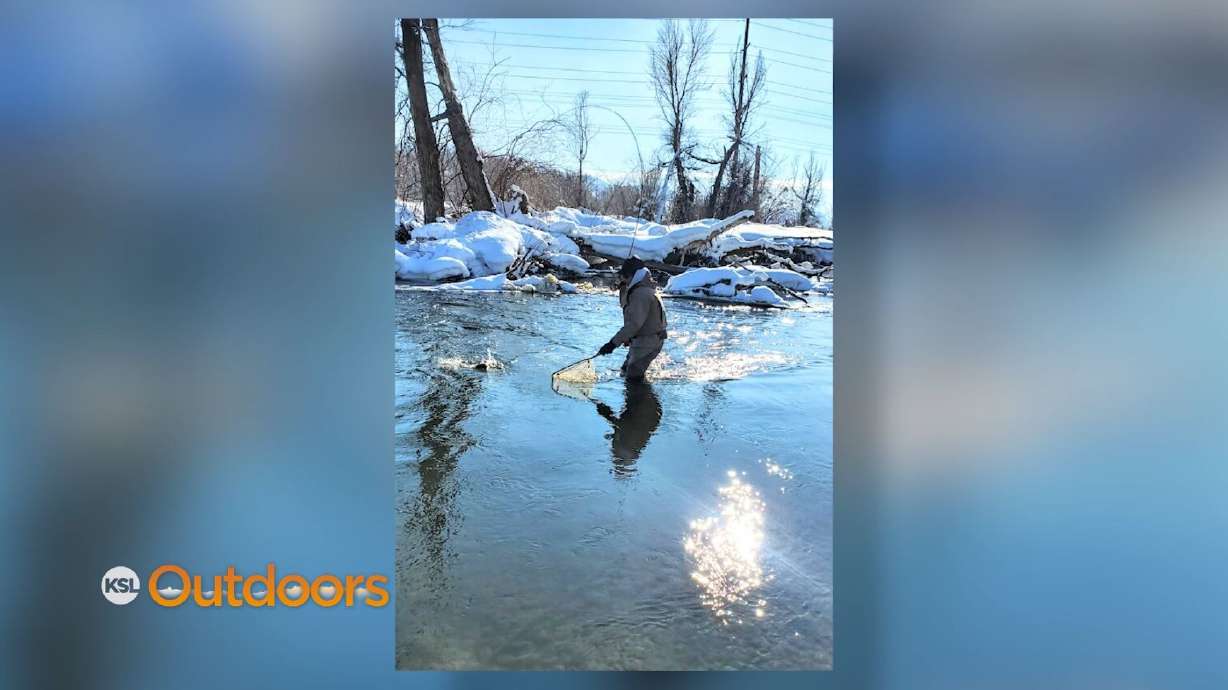Fish Tech Tip: How to Fly Fish in Frigid Temperatures