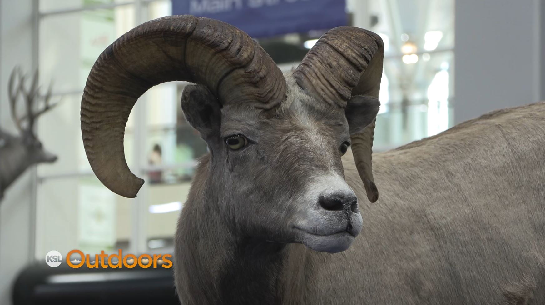 Highlights of the 2023 Western Hunting and Conservation Expo