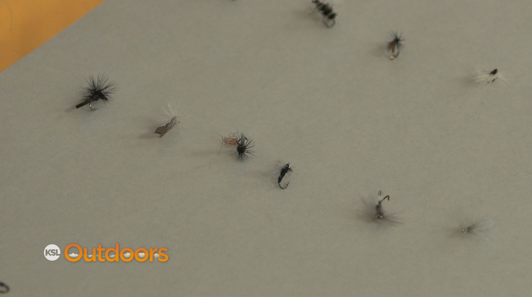 Fish Tech Tip: Mickey Anderson with a Buffalo Midge Report