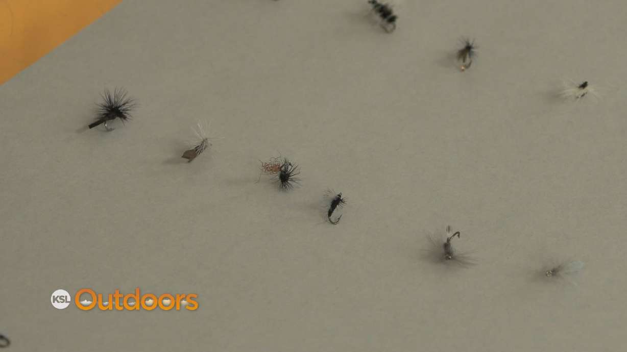 Fish Tech Tip: Mickey Anderson with a Buffalo Midge Report