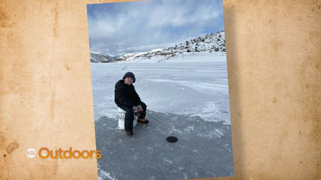 Snapshot of the Week: February 18, 2023