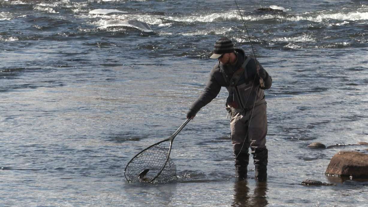 Winter Fly Fishing on the Provo River in Single Digit Temperatures