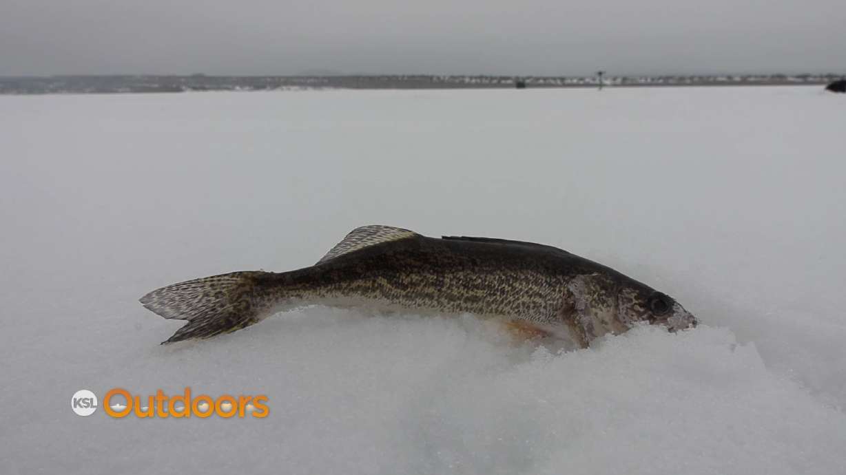 Ice Fishing for Walleye at Starvation Reservoir