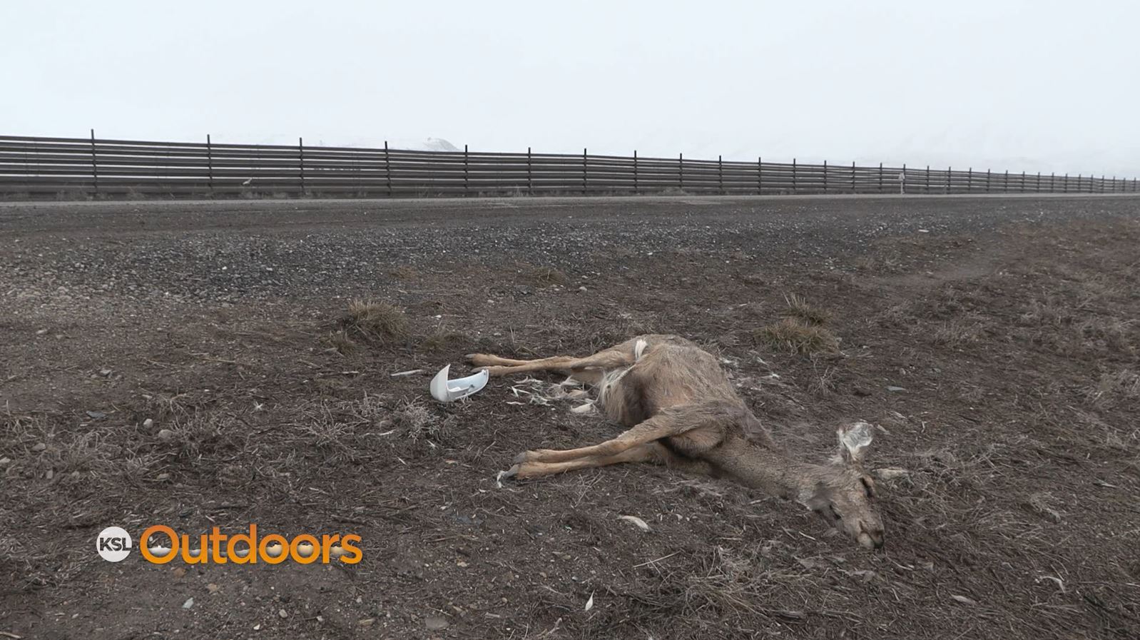 Thermal Infrared Wildlife Detection System Comes to Utah
