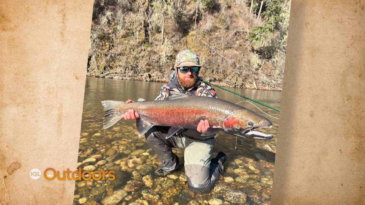 Snapshot of the Week: April 29, 2023