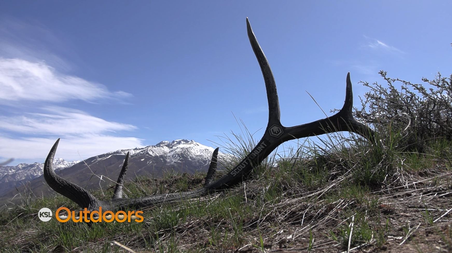 Scout to Hunt $50k Hidden Shed Challenge